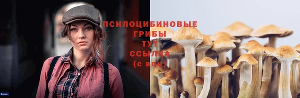 стафф Беломорск