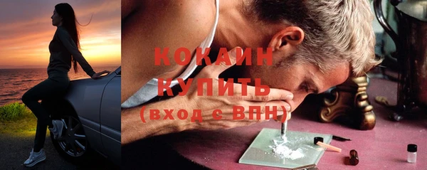 крисы Сосновый Бор